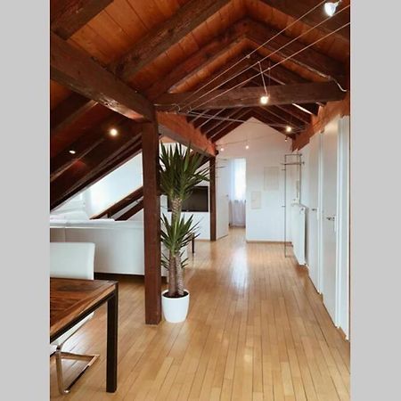 *Dreilaendereck* Wifi+ Balkon+Garage Basel Mulhouse Apartman Maulburg Kültér fotó
