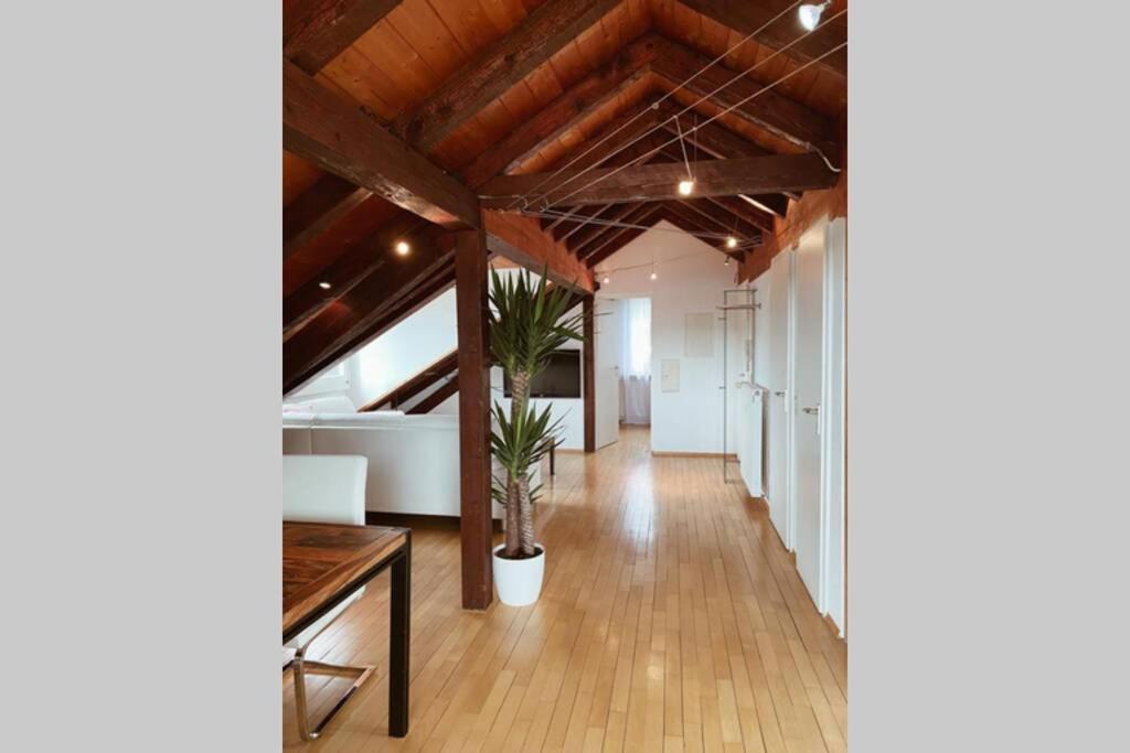 *Dreilaendereck* Wifi+ Balkon+Garage Basel Mulhouse Apartman Maulburg Kültér fotó