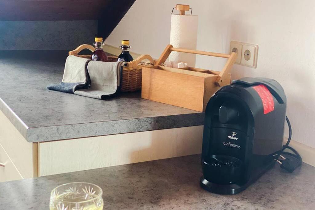 *Dreilaendereck* Wifi+ Balkon+Garage Basel Mulhouse Apartman Maulburg Kültér fotó