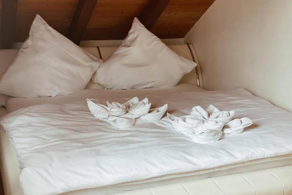 *Dreilaendereck* Wifi+ Balkon+Garage Basel Mulhouse Apartman Maulburg Kültér fotó