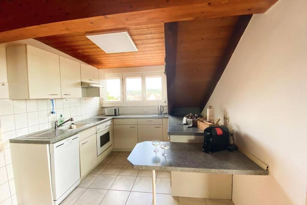 *Dreilaendereck* Wifi+ Balkon+Garage Basel Mulhouse Apartman Maulburg Kültér fotó