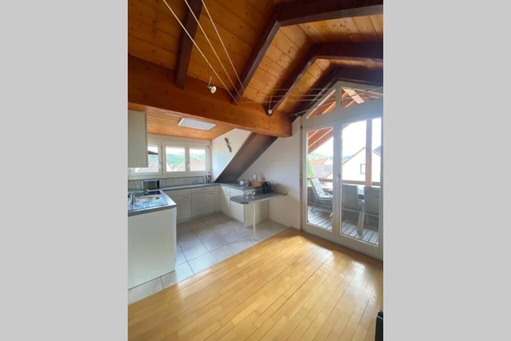 *Dreilaendereck* Wifi+ Balkon+Garage Basel Mulhouse Apartman Maulburg Kültér fotó
