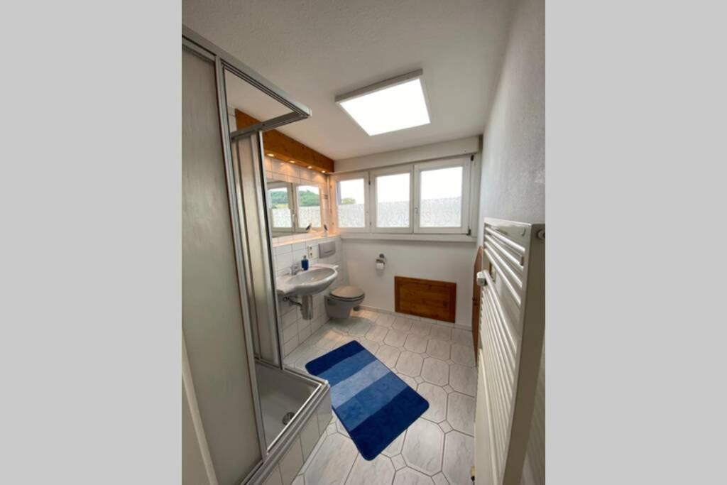 *Dreilaendereck* Wifi+ Balkon+Garage Basel Mulhouse Apartman Maulburg Kültér fotó