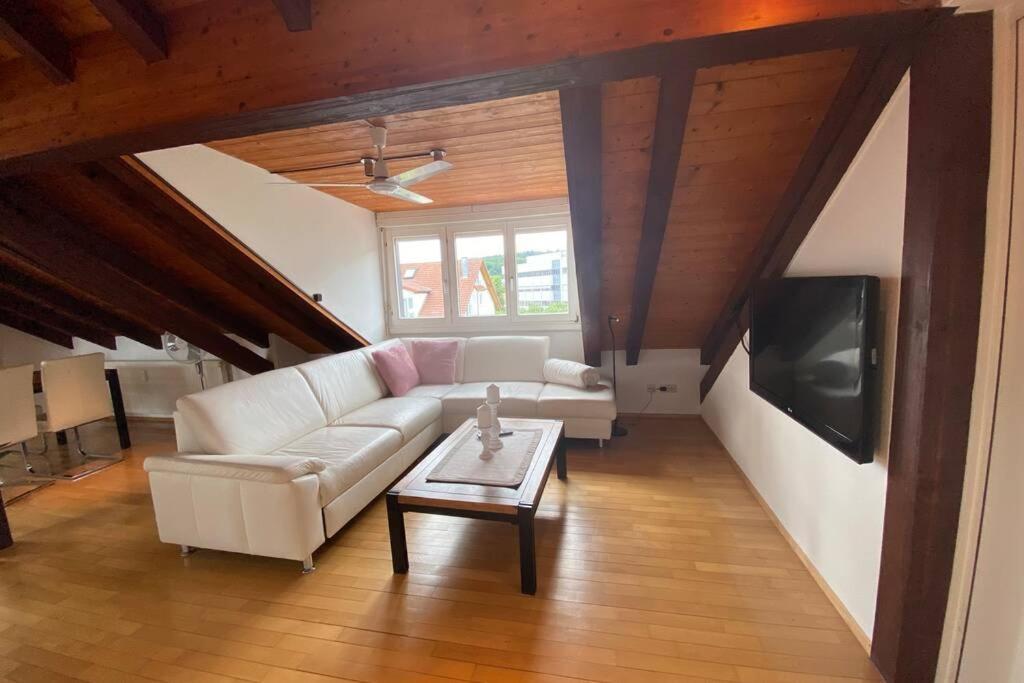 *Dreilaendereck* Wifi+ Balkon+Garage Basel Mulhouse Apartman Maulburg Kültér fotó